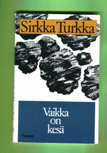 Vaikka on kesä