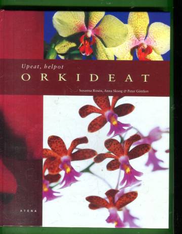 Upeat, helpot orkideat
