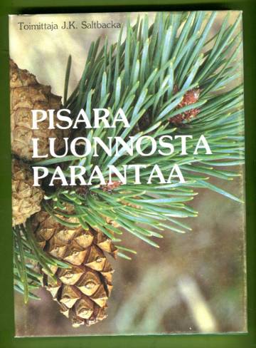 Pisara luonnosta parantaa