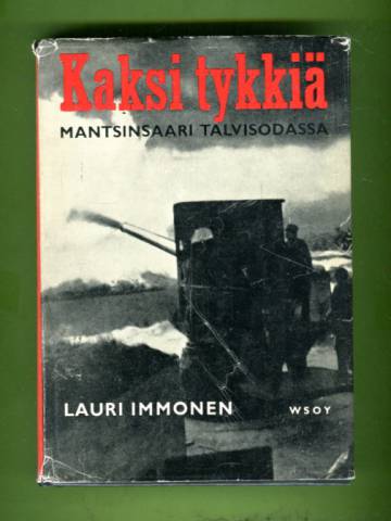 Kaksi tykkiä - Mantsinsaari talvisodassa