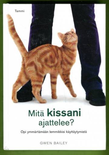 Mitä kissani ajattelee? - Opi ymmärtämään lemmikkisi käyttäytymistä