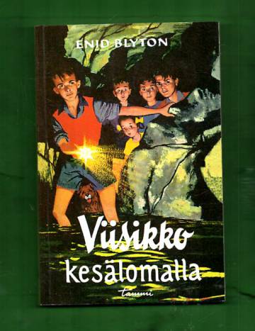 Viisikko 5 - Viisikko kesälomalla