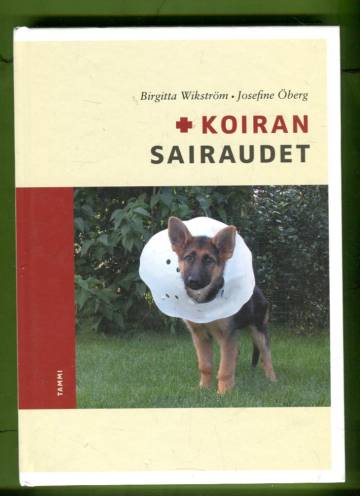 Koiran sairaudet