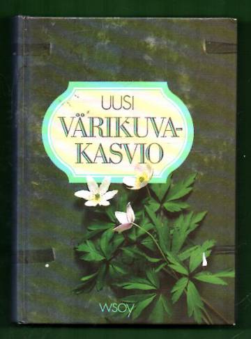 Uusi värikuvakasvio