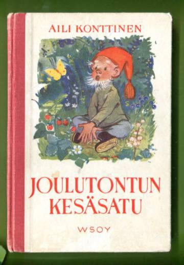 Joulutontun kesäsatu - Kertomus pienille koululaisille