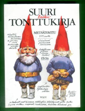 Suuri taskutonttukirja