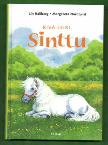 Kiva leiri, Sinttu