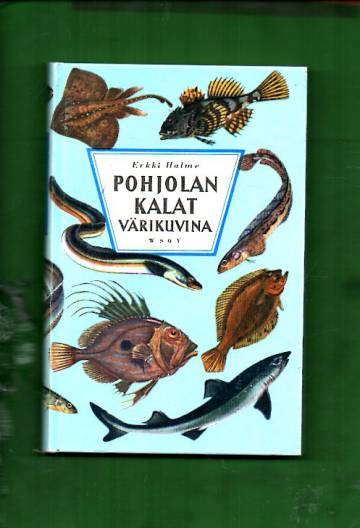 Pohjolan kalat värikuvina