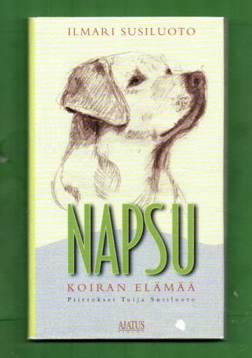 Napsu - Koiran elämää