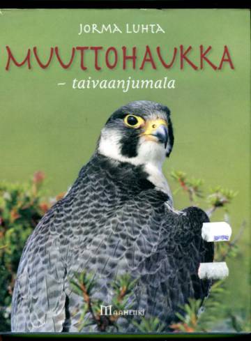 Muuttohaukka - Taivaanjumala