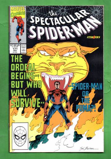 The Spectacular Spider-Man Vol.1 #171 Dec 90