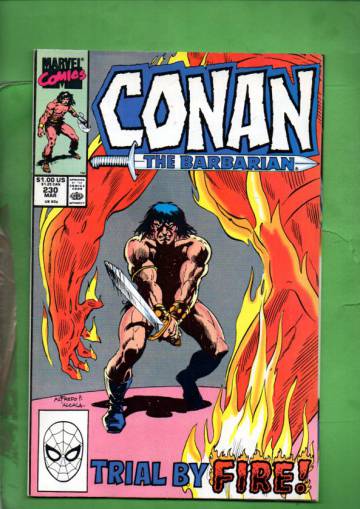 Conan the Barbarian Vol. 1 #230 Mar 90