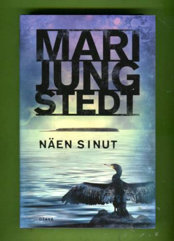 Näen sinut