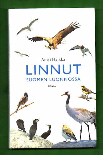 Linnut Suomen luonnossa