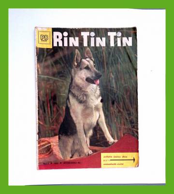 Rin Tin Tin 3/62