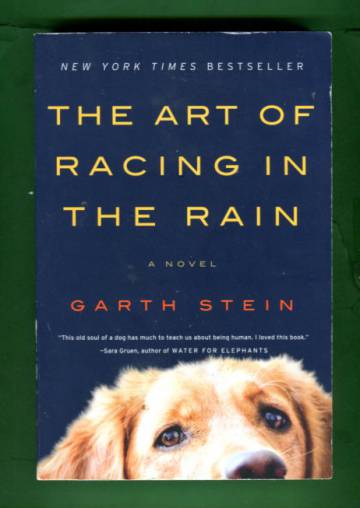 The Art of Racing in the Rain