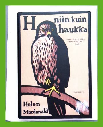 H niin kuin haukka