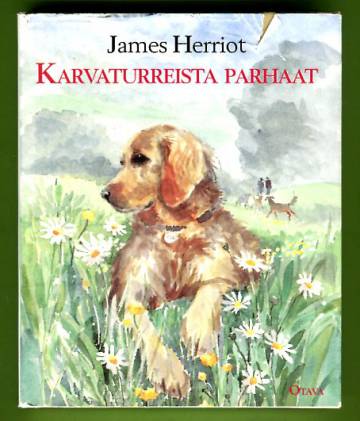 Karvaturreista parhaat