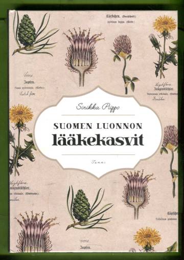 Suomen luonnon lääkekasvit