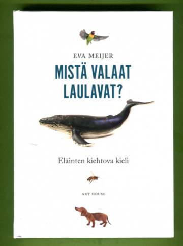 Mistä valaat laulavat? - Eläinten kiehtova kieli