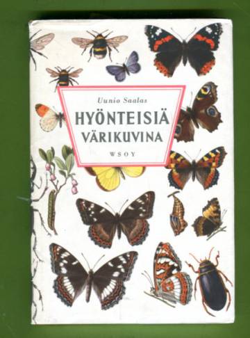 Hyönteisiä värikuvina