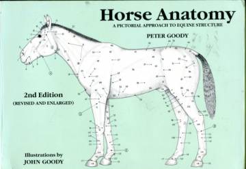 Horse Anatomy - A Pictorial Approach to Equine Structure