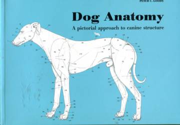 Dog Anatomy - A Pictorial Approach to Canine Structure