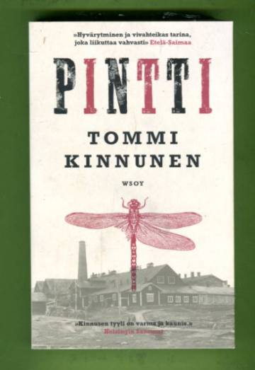 Pintti - Kolmenpäivänromaani