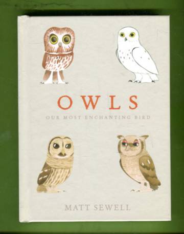 Owls