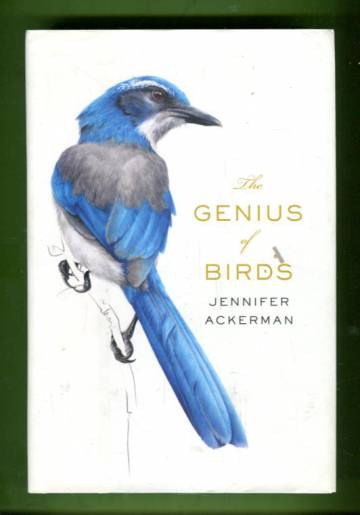 The Genius of Birds