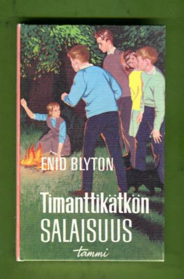 Salaisuus 11 - Timanttikätkön salaisuus