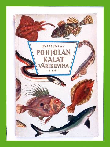 Pohjolan kalat värikuvina