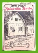 Katupeilin kuvia - Kertomuksia ja kuvauksia