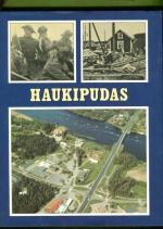 Haukipudas