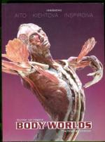 Body Worlds - The Original Exhibition