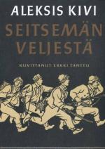 Seitsemän veljestä - Kertomus