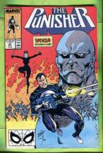 Punisher Vol. 2 #22 Aug 89