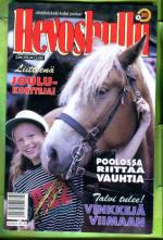 Hevoshullu 24/91 + liite