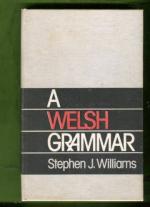 A Welsh Grammar