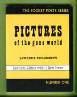 Pictures of the Gone World