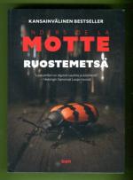 Ruostemetsä