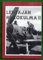 Lentäjän näkökulma II