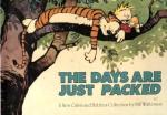 The Days Are Just Packed: A Calvin and Hobbes Collection