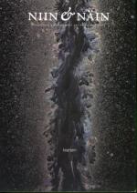 Niin & näin - Filosofinen aikakauslehti 68 (1/11)