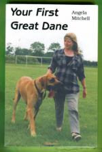 Your First Great Dane