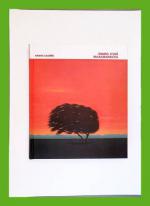 Kimmo Jylhä - Maailmankuvia: Pop-taiteesta tietokonegrafiikkaan